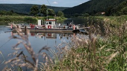 Die Gierseilfähre "Veckerhagen" pendelt auf der Weser zwischen den Anlegestellen Veckerhagen (Hessen) und Hemeln (Niedersachsen).