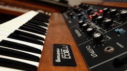 Moog-Synthesizer