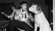 Elvis Presley singt für Plastikhund