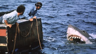 Filmszene aus Steven Spielbergs Film "Jaws" (1975)