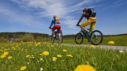 Zwei Fahhradfahrer in sommerlicher Landschaft fahren zwischen Wiesen.