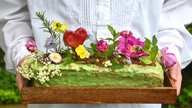 Eierlikörkuchen als Blumenkasten zum Muttertag