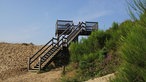 Brachter Wald-Pfad bei Brüggen 