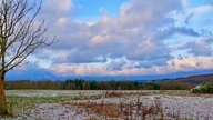 Eiskalt - durch den Bürenbrucher Wald 