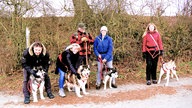 Wandern mit Husky: Herz über Kopf! 