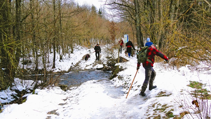 Wandern mit Husky: Herz über Kopf! 