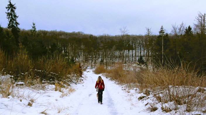 Wandern mit Husky: Herz über Kopf! 