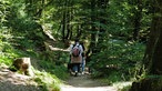 Klosterlandschaftsweg Altenberg: Wandern auf nassen Pfoten 