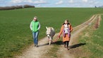 Eine Wanderung mit Eseln von Schalksmühle nach Breckerfeld