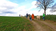 Eine Wanderung mit Eseln von Schalksmühle nach Breckerfeld