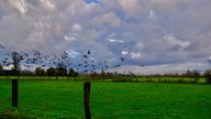 Die landschaft der Bislicher Inseln