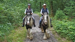 Zwei Reiterinnen auf einem Reitweg