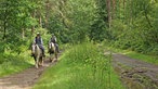 Reiterinnen auf Reitweg