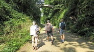 Drei Wanderer an der Kohlenbahntrasse. 