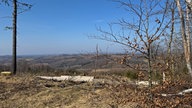 Ausblick vom Ebbekamm auf das Sauerland