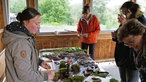 Wandergruppe steht um den Tisch mit den Waldschätzen