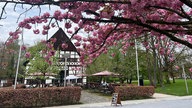 Restaurant in Bad Sassendorf