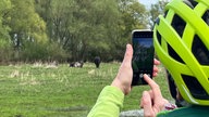 E-Bikerin fotografiert einen Storch im Naturschutzgebiet Woeste