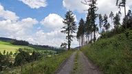 Streckenabschnitt des Radwegs "Die Holzmacherin" oberhalb von Schüllar