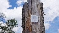 Wegezeichen auf dem Radweg "Die Holzmacherin"