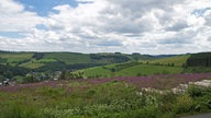 Oberhalb von Wunderthausen