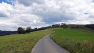 Teerstraße auf dem Radweg "Die Holzmacherin"