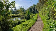 Die Niers ist umgeben von Pflanzen und einem Wanderweg.