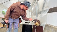 Pascal Schepers von der Falknerei streichelt Vogel