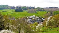 Blick auf die Ortschaft Lützeln