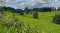 Die Landschaft rund um Olsberg 