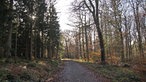 Die Struffeltroute im Naturpark Hohes Venn-Eifel