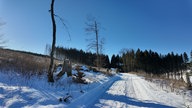 Pastorenwiese zwischen Bad Berleburg-Wunderthausen und der Stadt Hallenberg