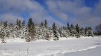 Winterwanderweg zwischen Bad Berleburg-Wunderthausen und Hallenberg