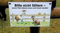 Wilde Wiese: Das kleine Wander-Glück! 