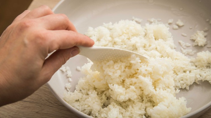 Symbolbild eines Tellers mit Sushireis, eine Hand hält einen Löffel. Kann von Rezept abweichen.