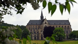 Blick zwischen Blättern auf den Altenberger Dom im Bergischen Land