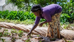 Das Beitragsbild des WDR5 Dok5 Feature "Die Erntemacher" zeigt eine junge Bäuerin bei der Feldarbeit im Bukura Agricultural Training Centre in Kenia.
