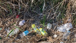 Plastikmüll am Straßenrand