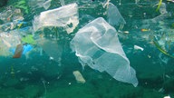 Plastikmüll im Meer