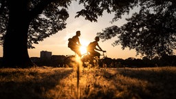 Zwei Menschen fahren im Gegenlicht der Sonne Fahrrad.