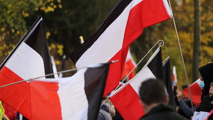 Reichsbürger auf einer Demonstration.