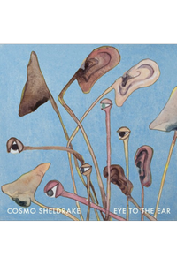 Cosmo Sheldrake - Eye to the Ear