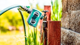 Bewässerungssteuerung an einem Wasserhahn in einem Garten.