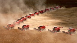 Brasilien, Mato Grosso: Mähdrescher ernten ein Feld ab.