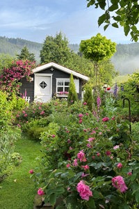 Prächtig blühende Pflanzen im Garten von Lene Fiebig. 