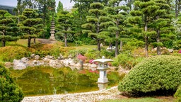 Japanischer Garten in Düsseldorf