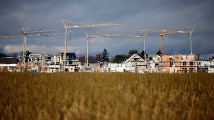 Am Horizont eines Getreidefelds werden mehrere Familienhäuser mit Hilfe von Kränen neu gebaut. 