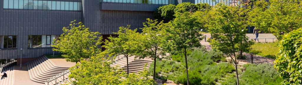 Das Gebäude der Kölner Philharmonie, davor zahlreiche Bäume