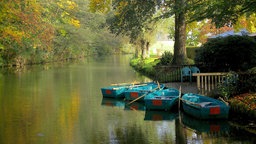 Vier blaue Ruderboote auf einem See