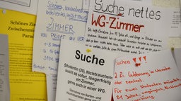 Mehrere Wohnungsgesuche hängen an einem Schwarzen Brett